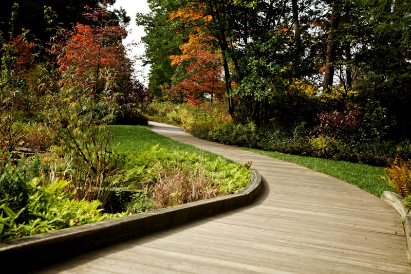 Allée de jardin bordée de massifs bien entretenus
